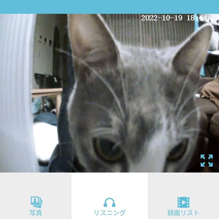 F8090014 6835 412d a76b fccfdf2f3422 1666176840030