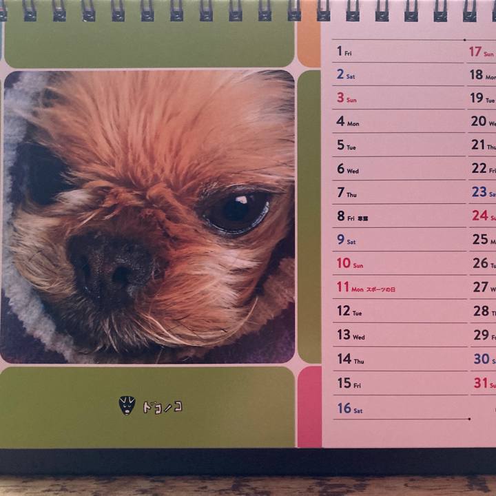 F809061d 9e9a 4597 b2c4 a367f07301ca 1634861877871