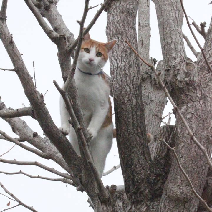 F8090f84 2748 4dfa 9b37 8a6fd411d4a8 1517734962529