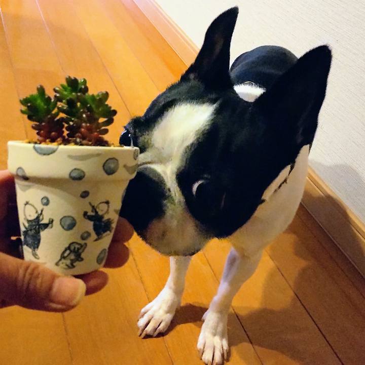 F8092afb 4610 41dd a955 43a6fec20096 1679731198309