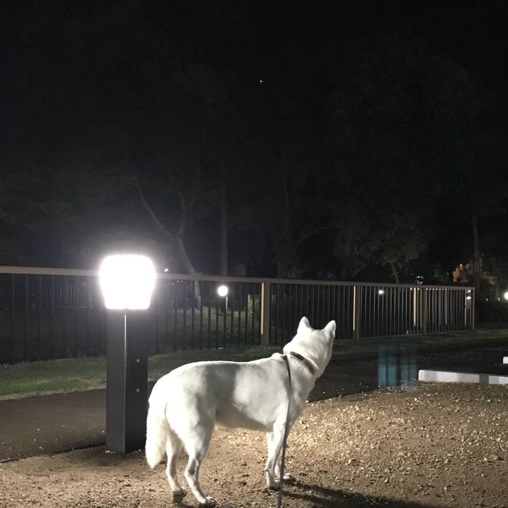 F8093729 42bc 436e b716 32fa05e04834 1533038407960