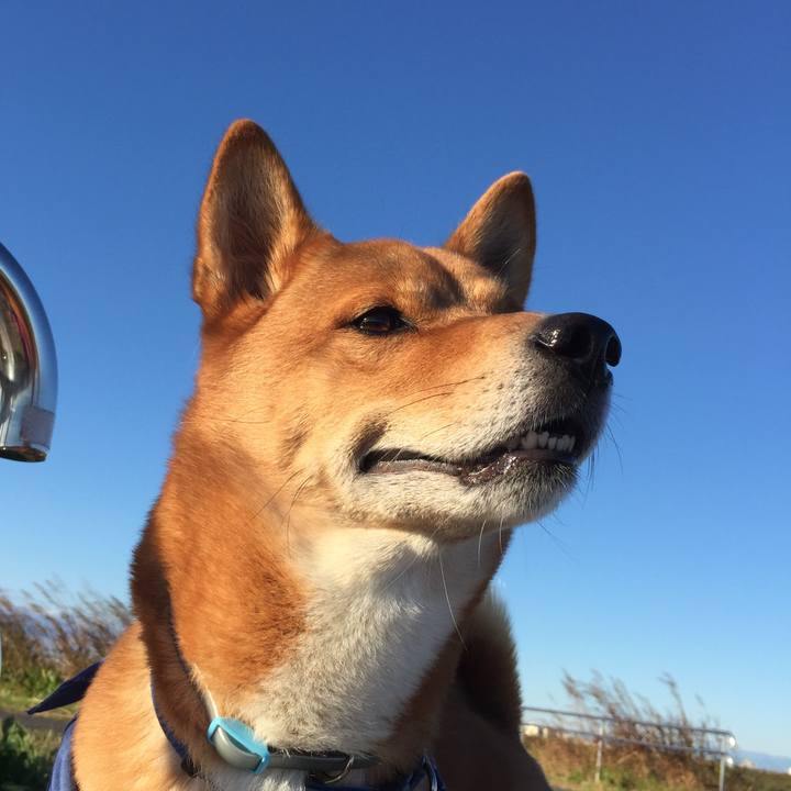 F8095a44 85f8 4a23 858c 73e3d2bd1f1f 1511399886003