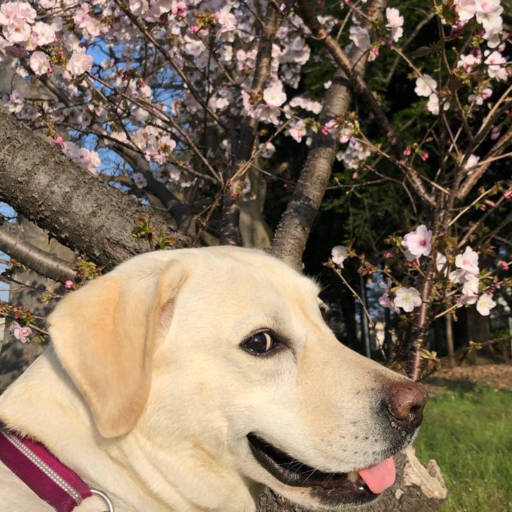 F8095c3d ee9d 47bf 8e94 d3951ea3686a 1649555457543