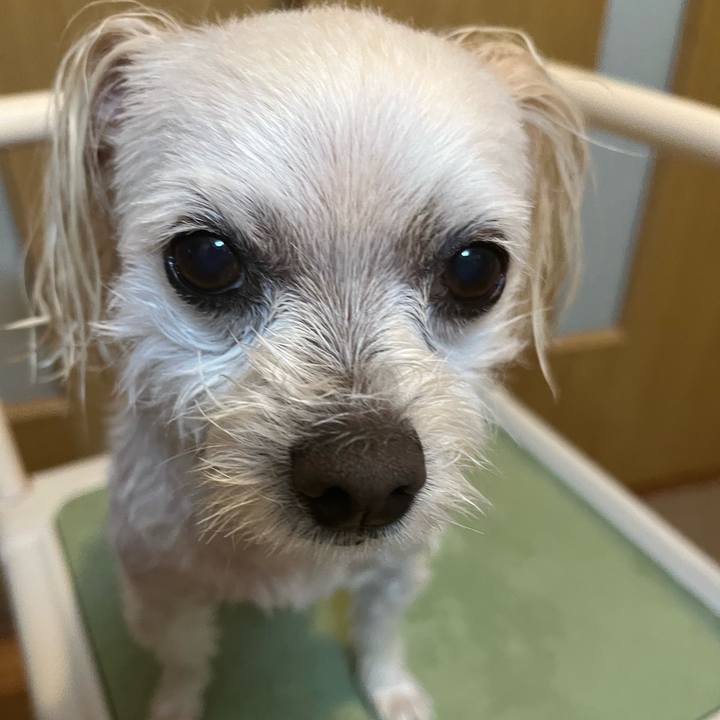 F8099356 82cc 4a8a 8b2b b9825d772706 1683100757022