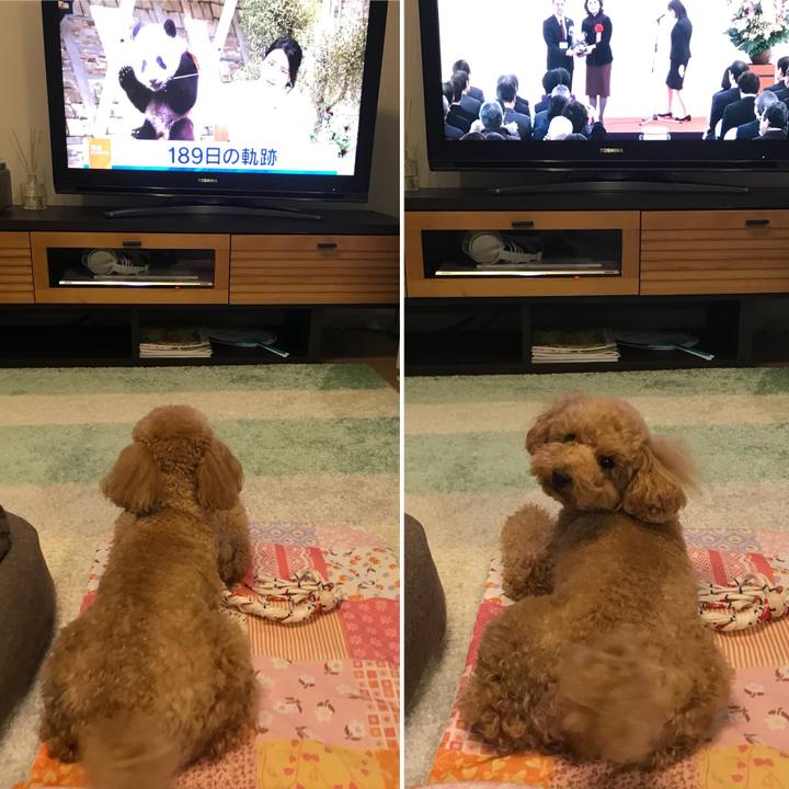 F809ded1 1e69 4a56 894d 255725fea046 1513603309007