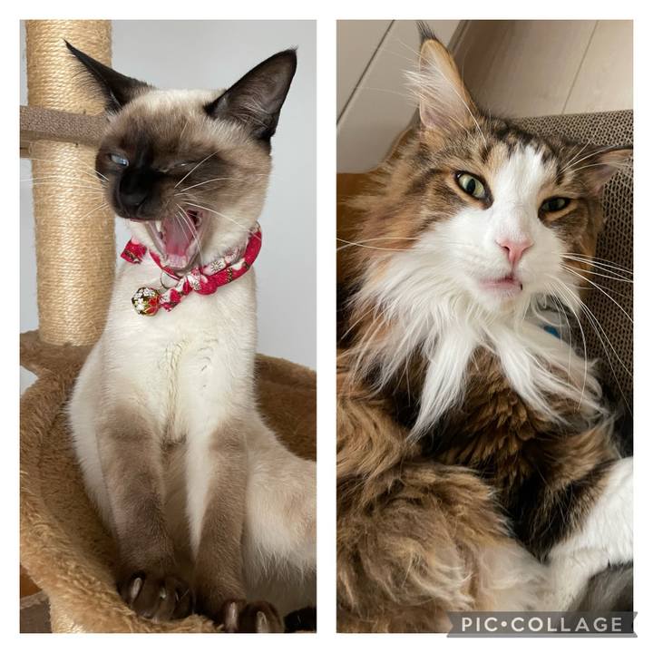 F809e4f4 20b5 4bf2 9a24 78f279ab9b1c 1703999743561