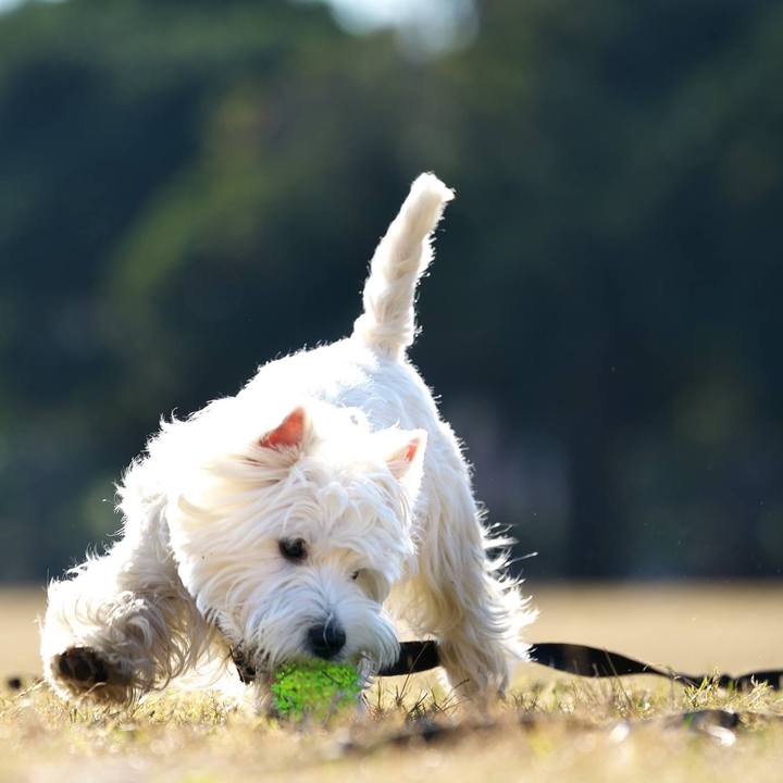 F809fe32 65d4 4bf4 b492 0eca01f1d8cf 1512307182143