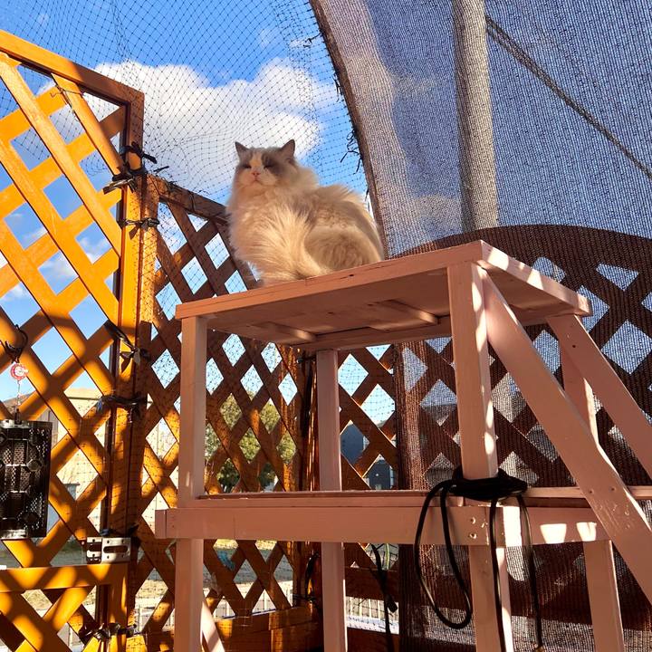 F80a4fce 5647 4039 82ab 2365eee7d56e 1734157746666