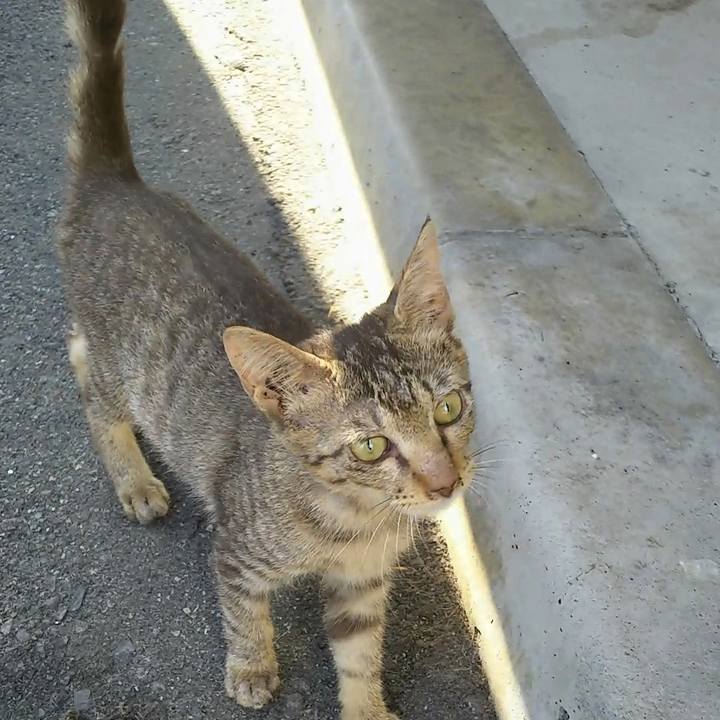 F80a5954 583d 4585 8a0f 7dcbeca62cec 1566429917298