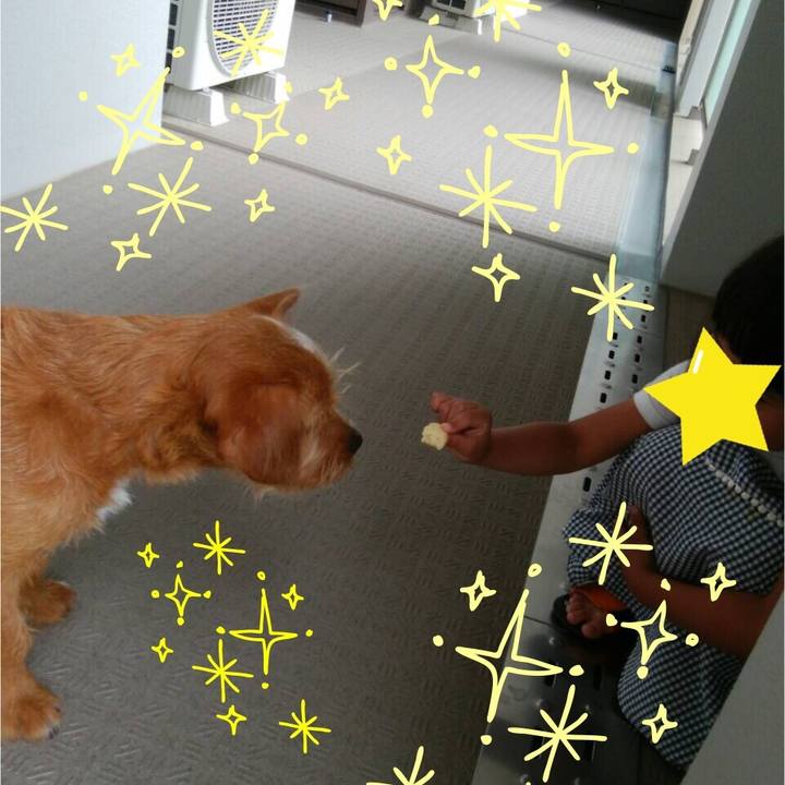 F80a6685 89e8 46d7 ae8b f218d269eeb7 1530690757581