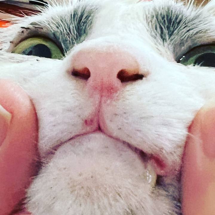 F80a75e0 0659 4ee2 812b f0f7834039fe 1649516083042