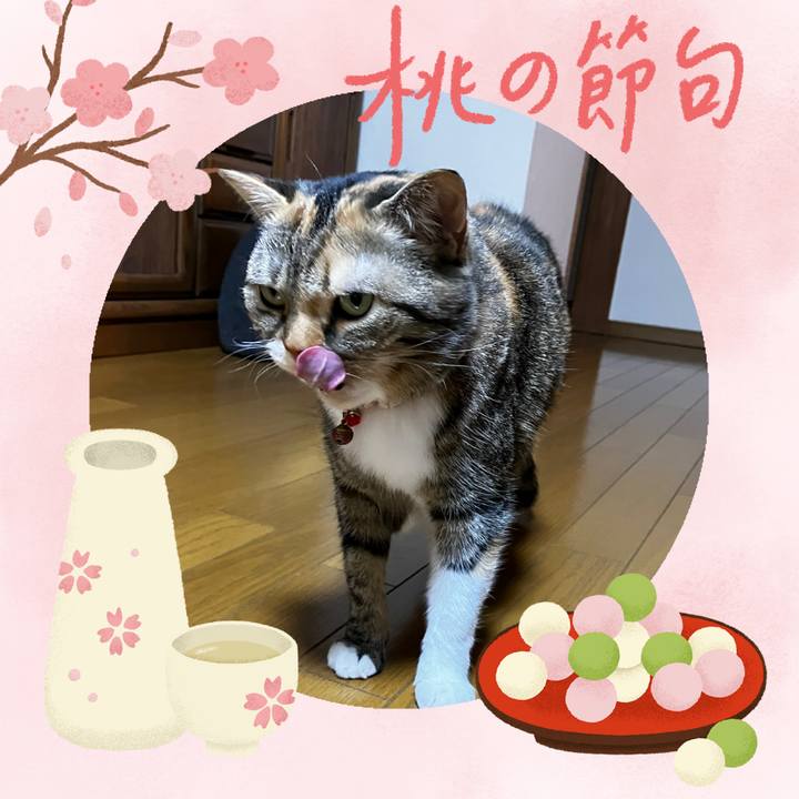 F80a8bfb 7a00 48bf a287 64ee68fea51d 1772498672490