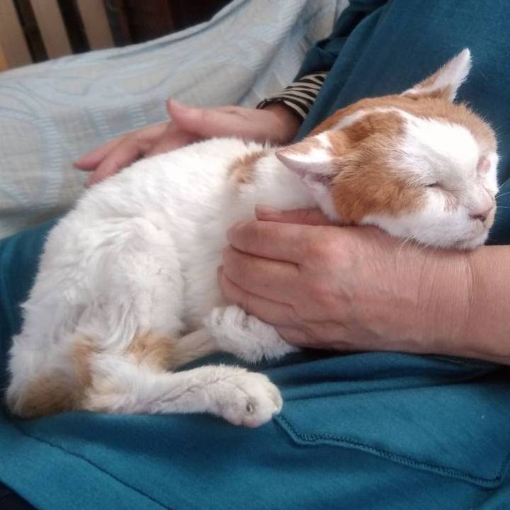 F80abd36 b952 4f43 b20b e31078b65fe4 1697359564728