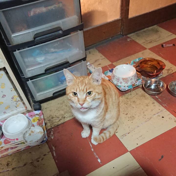 F80ad8c3 8315 49c3 8f1d 5d74e452317b 1586380990851