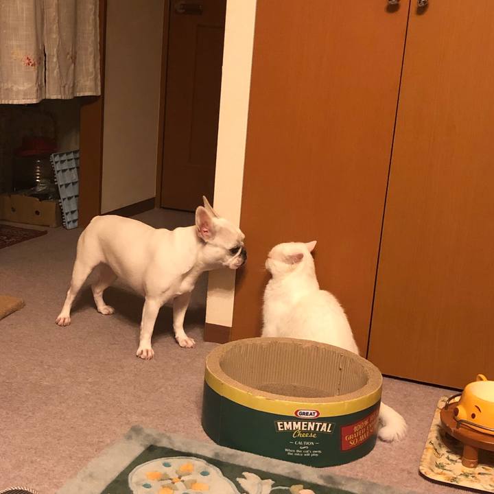 F80ae557 7d0b 4bd7 90d9 05898ee13050 1593693222006