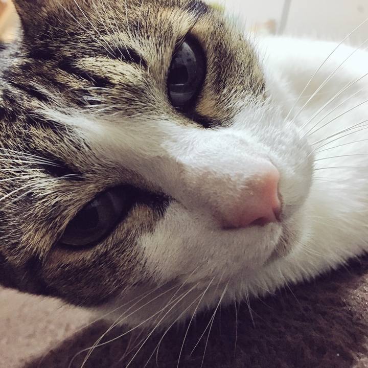 F80afdd6 a55d 4db5 8e70 75db4a065ac8 1543155145006