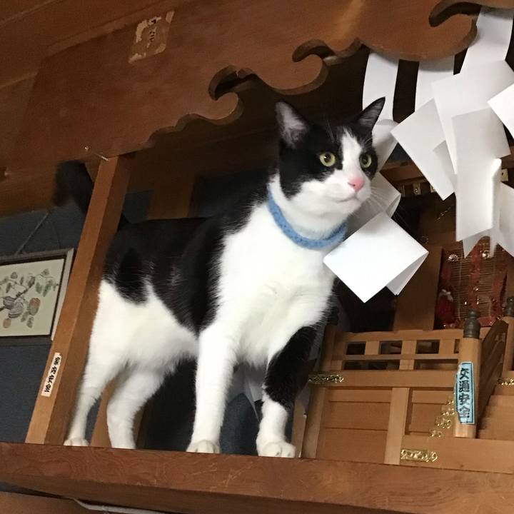 F80b0d59 473c 45bc 92d0 04e86132f96a 1747450358898