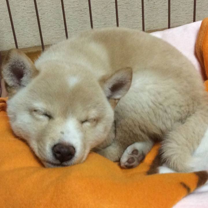 F80b1012 8322 41fc 8f8e 1354add1327c 1541814228064