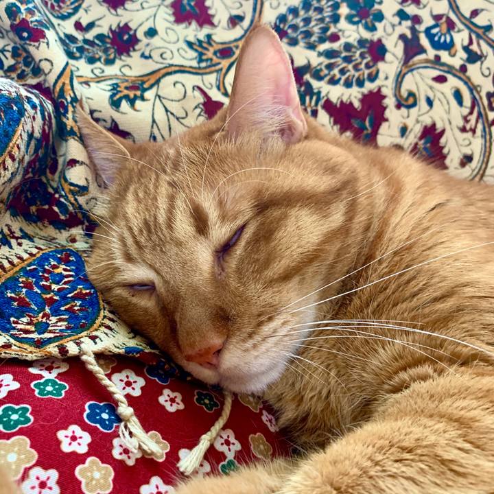 F80b145b 5b05 44c6 aecc 71ccd89b82b3 1602906420513