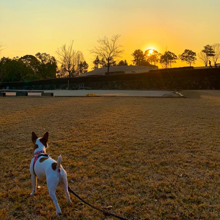 F80b1749 3e0b 4c48 bb4c 320e2eb04f1c 1548687187486