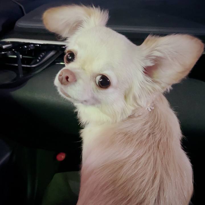 F80b2c10 3b01 4549 84a3 b55be66f107a 1696684184897