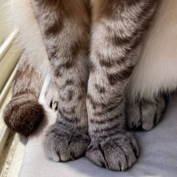 F80b4962 0c37 4e57 9d69 1efcf2e6ce58 1754726305555