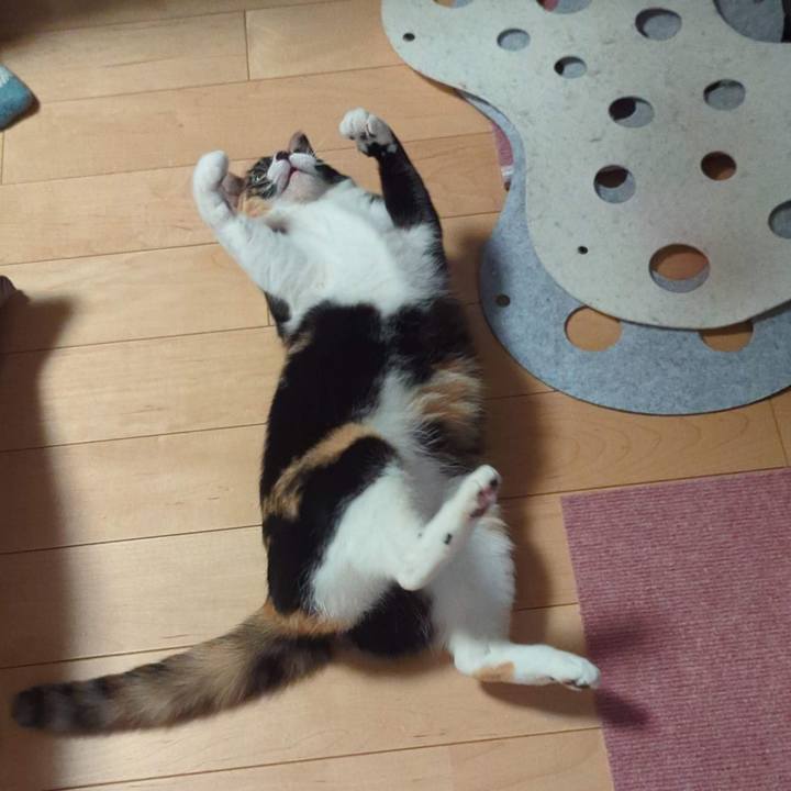 F80b8b3b 0c27 4867 86ff 0e43de3889f9 1710215104075