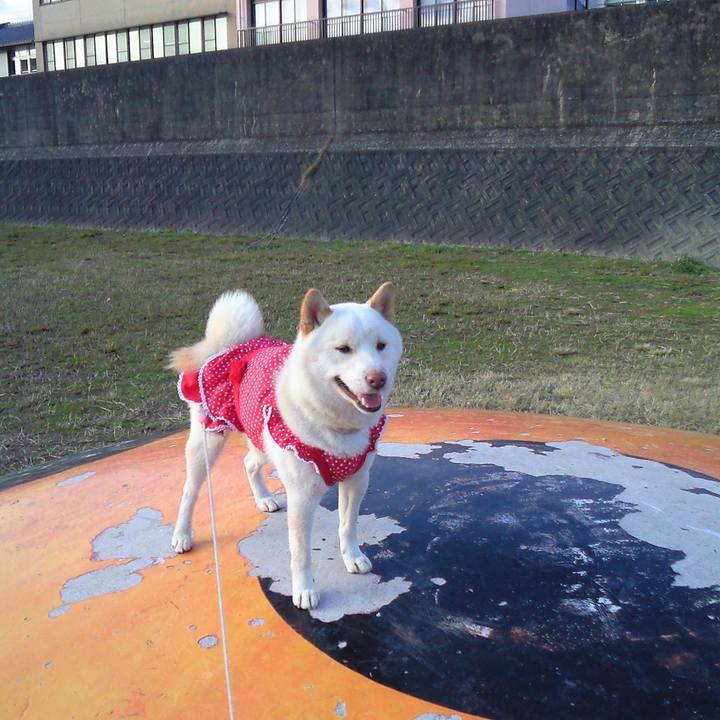 F80b9744 d849 4e70 bb84 106670414922 1677884518159