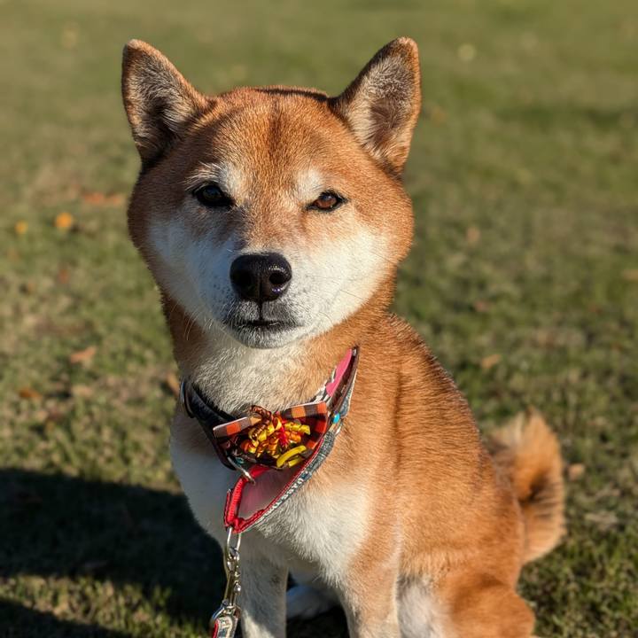 F80bcf54 afc6 4c1f a189 a94ec28b9948 1730975176904