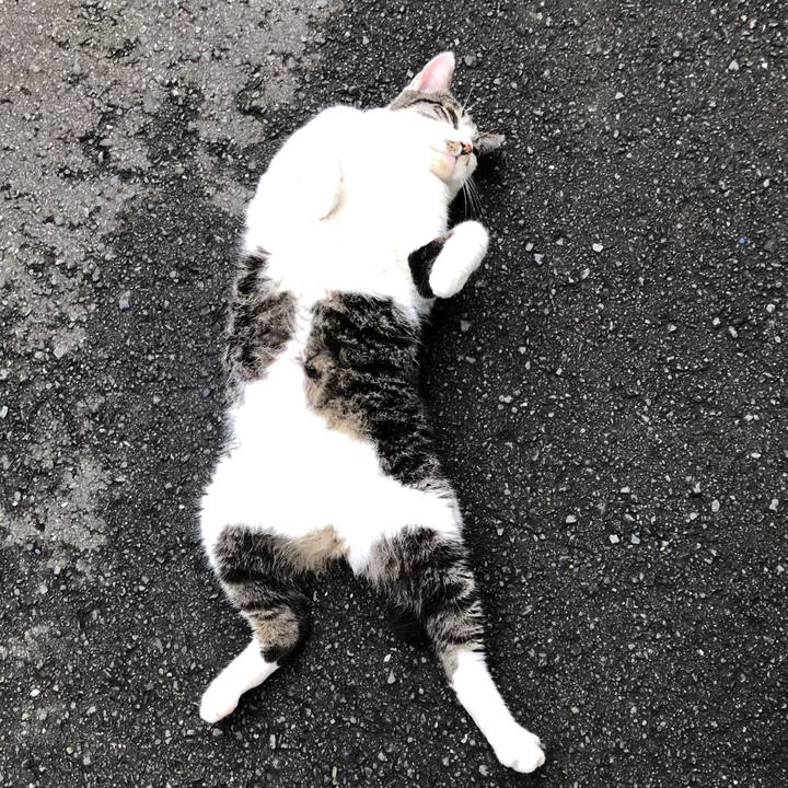 F80bdd8f bf35 43c4 a8e4 c3115070946e 1566300893434