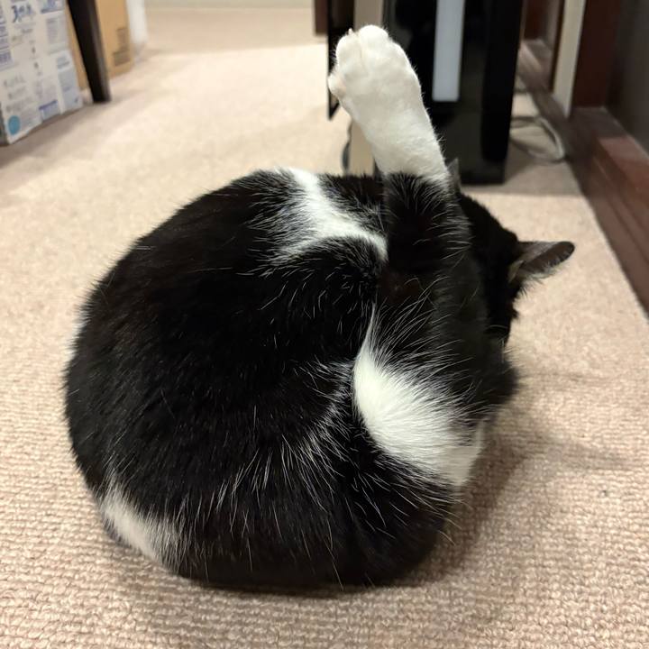 F80c21dd 9abf 472b a672 3d21999369fc 1771947843992