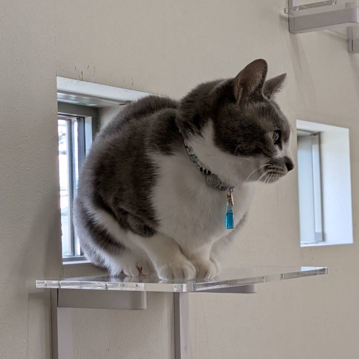 F80c363a b817 4734 8d14 f7c61ff51af8 1736315132203