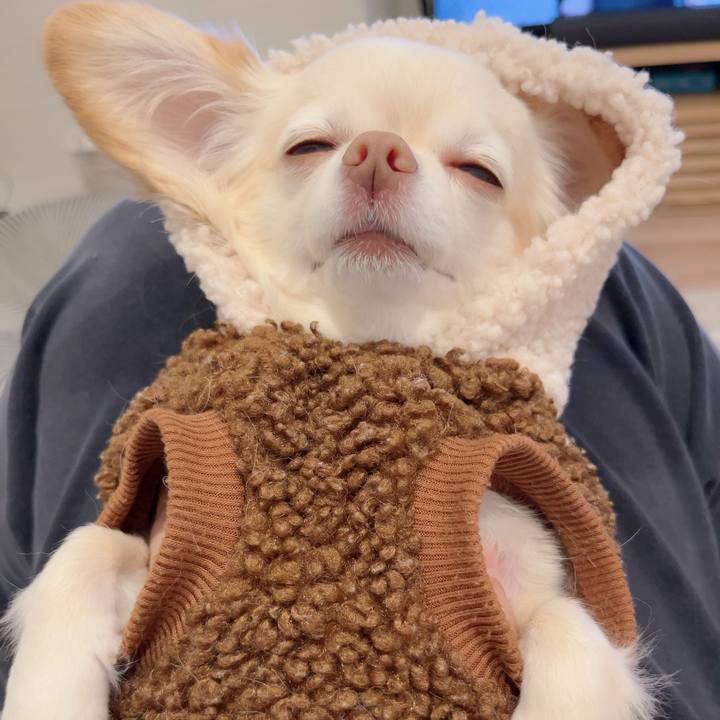 F80c435e 618f 4498 aad6 0d83a3899032 1731062116551