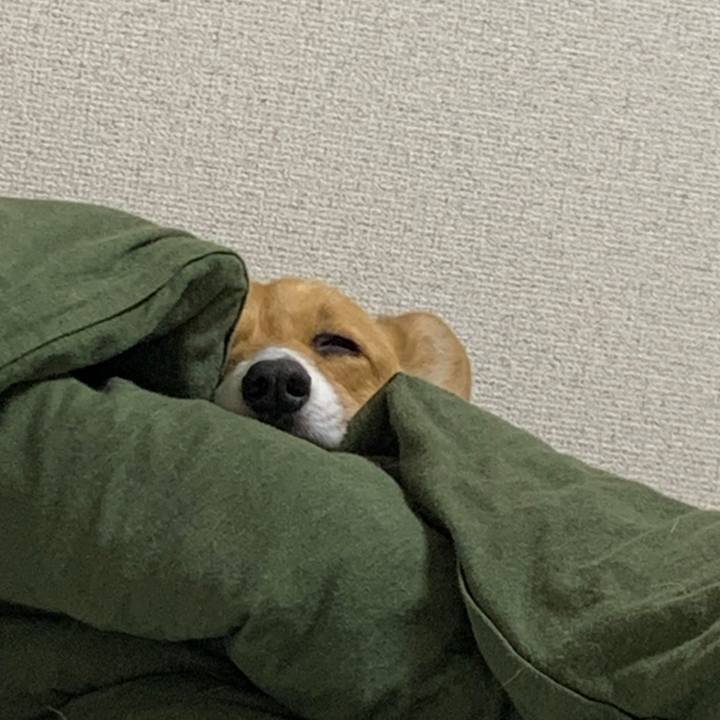 F80c4476 015f 4d36 8940 e4ea6f02f677 1589942773796