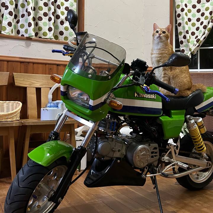 F80c4664 b106 4658 abc2 1f59ab2cca2f 1693836258371