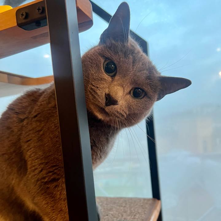 F80c5105 d28c 4adb 84bc 597da3ecd008 1709071856789