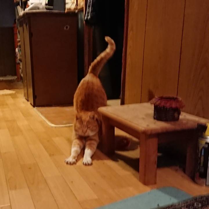 F80c59f6 4cbf 44a5 a431 6bc076fda496 1580374400593