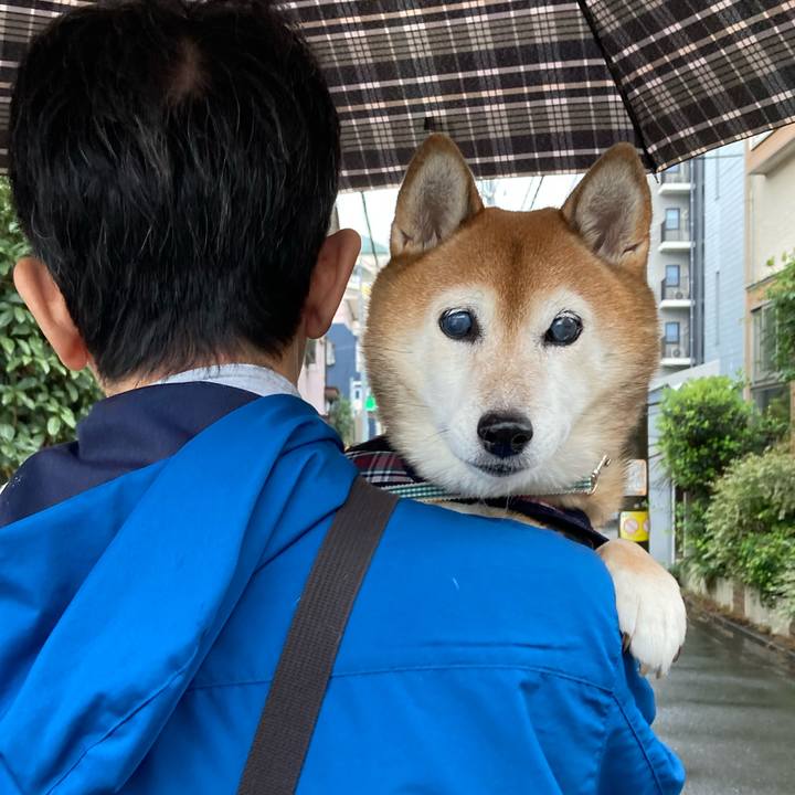 F80c6f4a ee88 4739 a011 9e3f76d56ed5 1730503233469