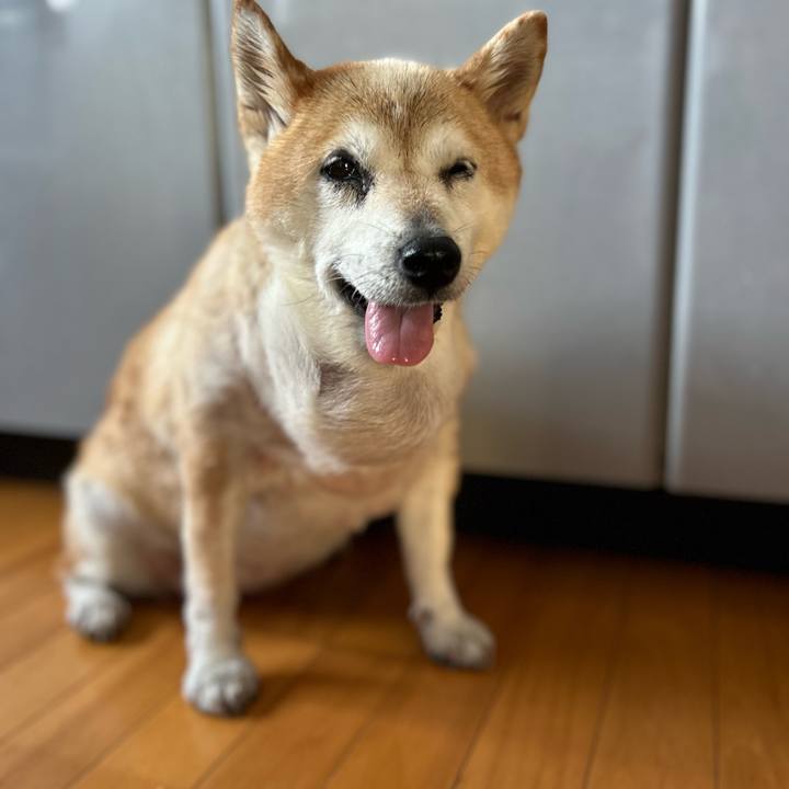 F80cc658 d9d8 414e a4fa b4d31a4dd3df 1756347727314