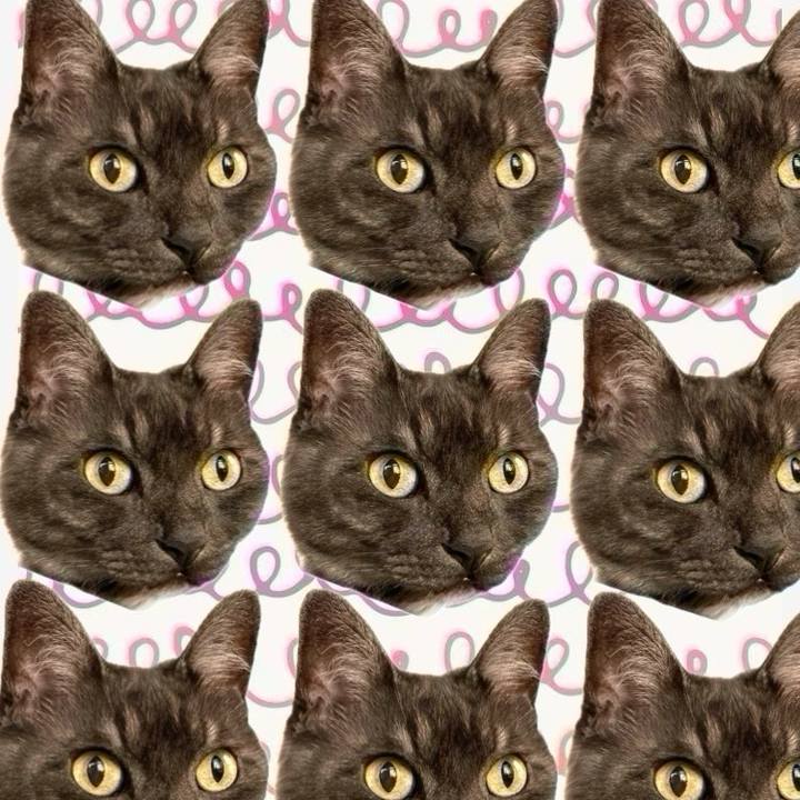 F80d01fe 08ad 41f1 a16a 2cefed5d336a 1756529153450