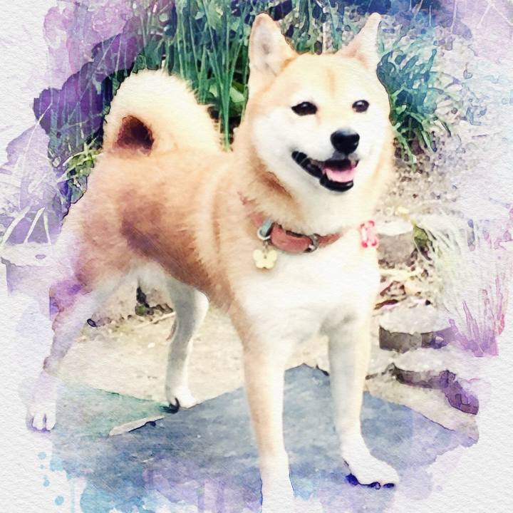 F80d0ec3 2211 4558 bac6 5b10d4180056 1535607229181