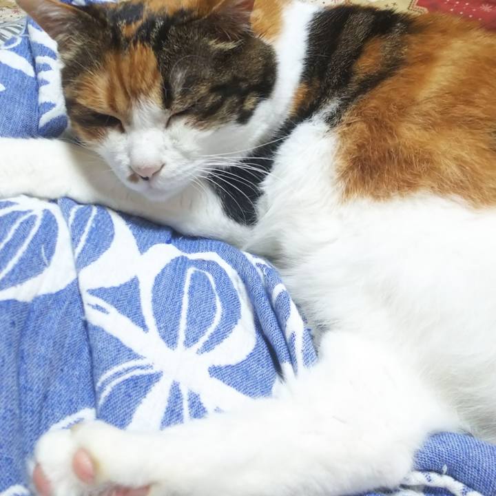 F80d17ee 97e6 4a9c 9deb b19d1a8abc9a 1567945859472