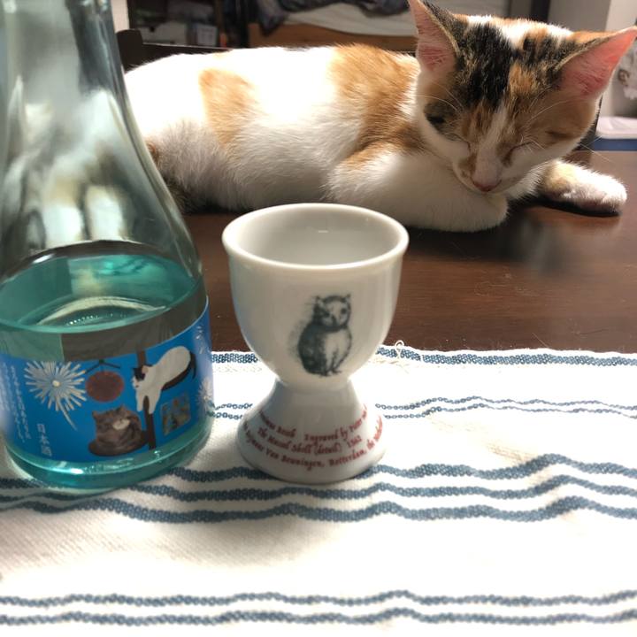 F80d2fa6 a9a1 47ba a321 0ec7787c592c 1565524236573