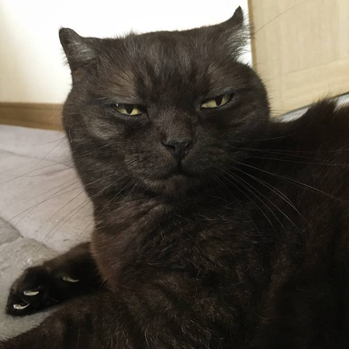 F80d3aac 83f9 4ad8 aa12 278ce43eecb8 1566303138342