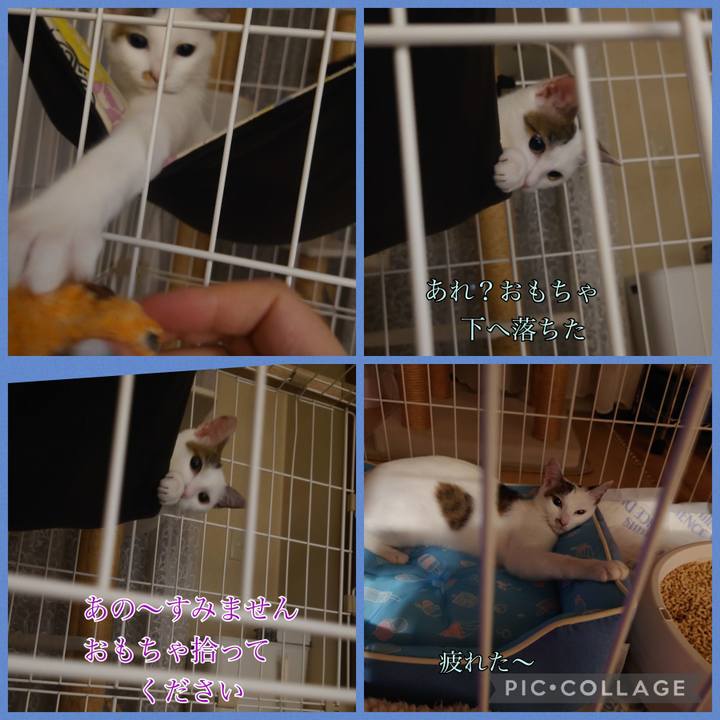 F80d98f9 a633 484e b98f e4fc85155129 1689944057516