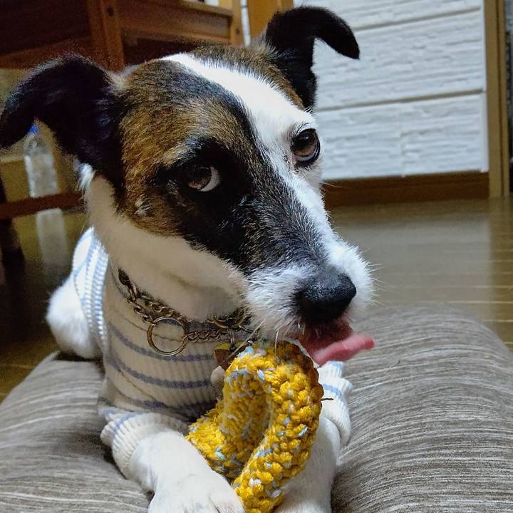 F80de265 5cfd 40e2 99de 51a3854d922f 1650897146905