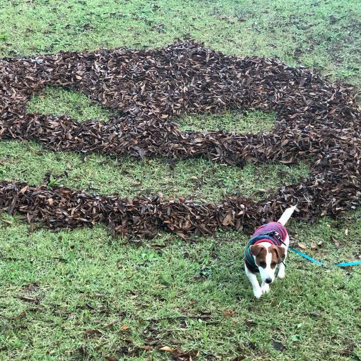 F80e0a24 8887 418b 80f4 870eb2c56a26 1572260060018