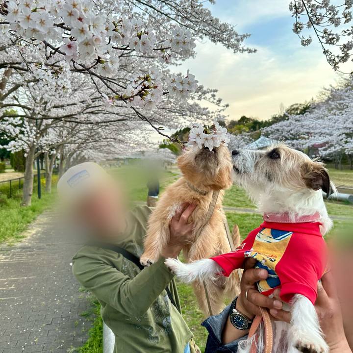 F80e148e 0b3f 494e b9b9 2ec7680535ef 1712499921232