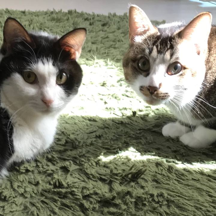 F80e2354 7445 4168 b7ba 08210692bf6d 1552018408790