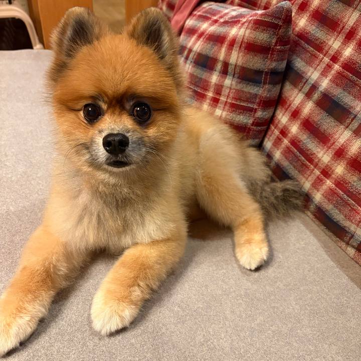 F80e6181 ac79 4154 9178 b3299a6b29c3 1759480982832